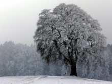 hiver17-1.JPG